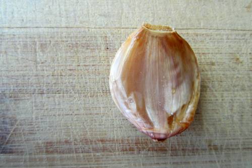 garlic