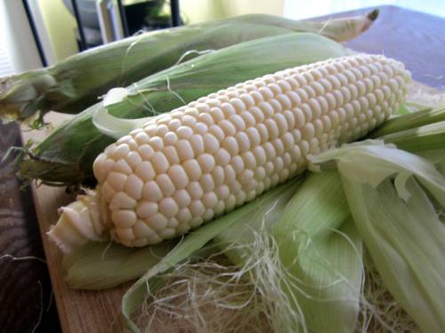 corn
